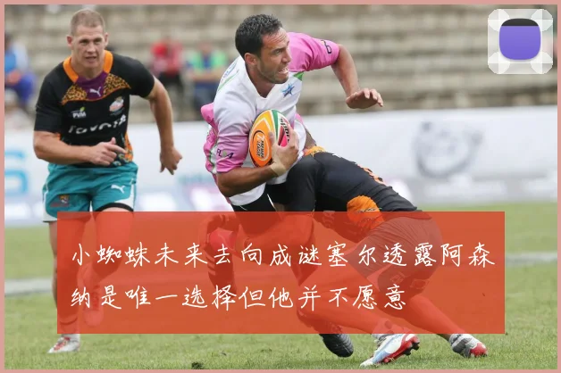 小蜘蛛未来去向成谜塞尔透露阿森纳是唯一选择但他并不愿意