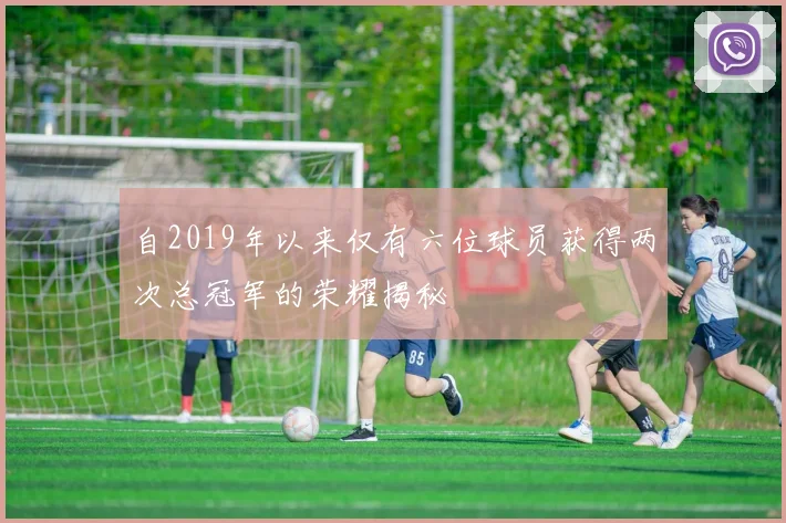 自2019年以来仅有六位球员获得两次总冠军的荣耀揭秘
