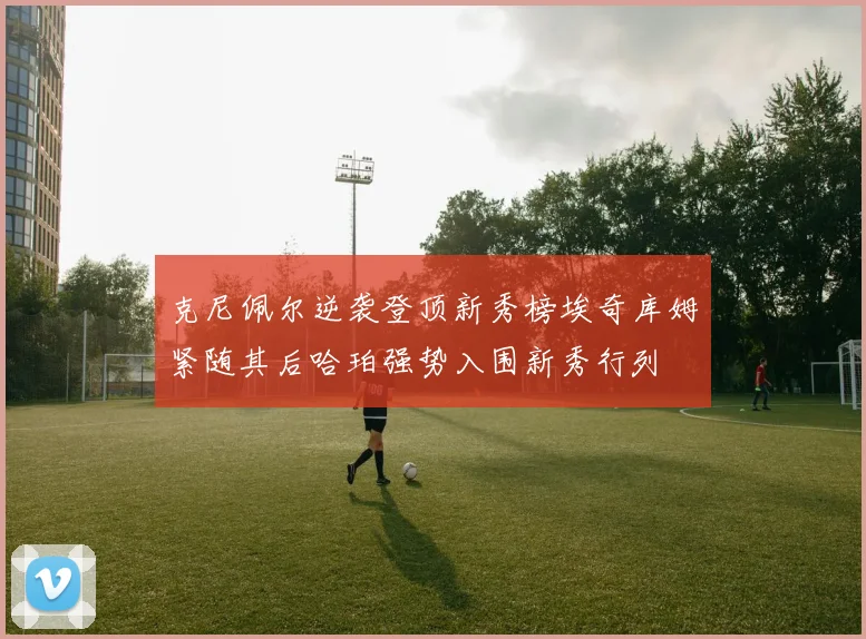 克尼佩尔逆袭登顶新秀榜埃奇库姆紧随其后哈珀强势入围新秀行列